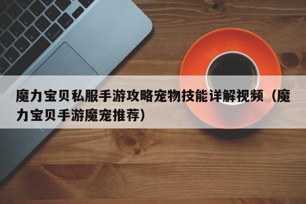 魔力宝贝私服手游攻略宠物技能详解视频（魔力宝贝手游魔宠推荐）
