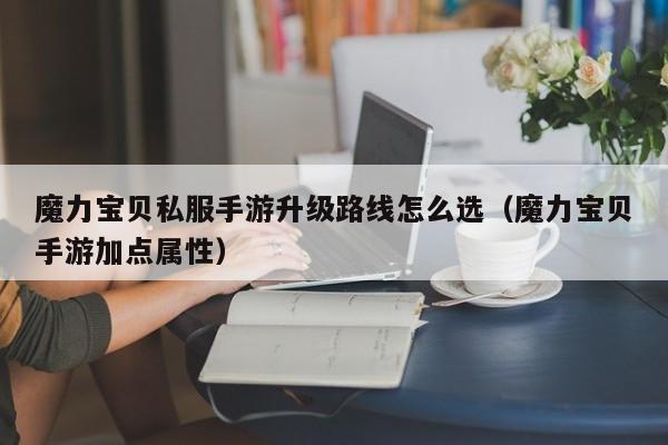 魔力宝贝私服手游升级路线怎么选（魔力宝贝手游加点属性）