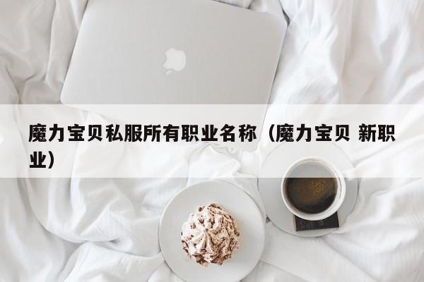 魔力宝贝私服所有职业名称(魔力宝贝 新职业)