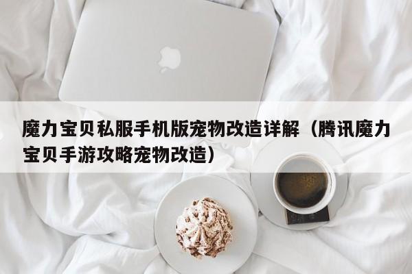 魔力宝贝私服手机版宠物改造详解（腾讯魔力宝贝手游攻略宠物改造）