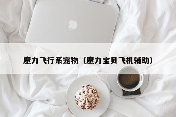 魔力飞行系宠物（魔力宝贝飞机辅助）